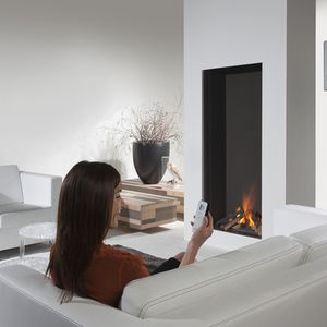 cheminée à gaz / contemporaine / à foyer fermé / à encastrer