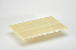 panneau sandwich pour couverture / pour façade / pour mur / pour cloison