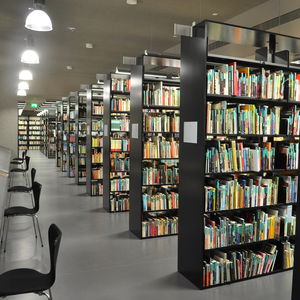 étagère contemporaine / en métal / pour bibliothèque / professionnelle