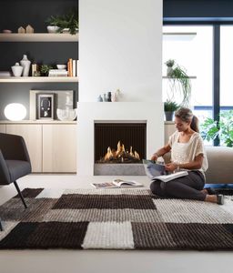 cheminée à gaz / contemporaine / à foyer fermé / à encastrer