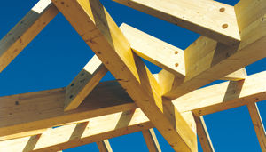 charpente en bois massive / professionnelle