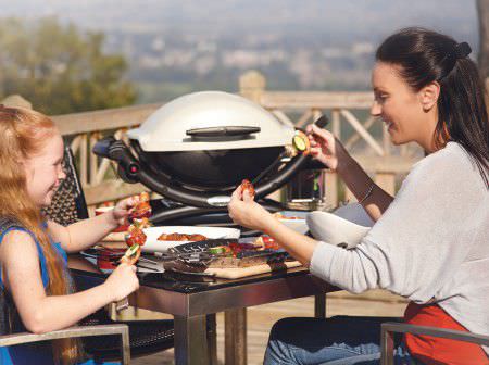 barbecue weber q1000 titanium
