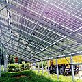 panneau solaire photovoltaïque verre-verre - SPS-TERMSER15-240 240 W