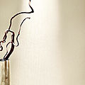 papier peint uni - Trends Home: swing