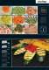 Catalogue CHEFTOP serie 5 - UNOX S.p.A.