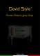 David Style 2011