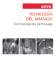 Technologie du p�trissage