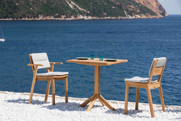 Tectona Photo 4