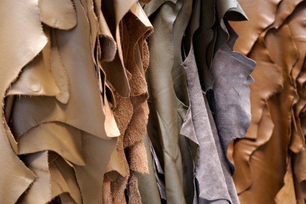 Antic Cuir Photo 2