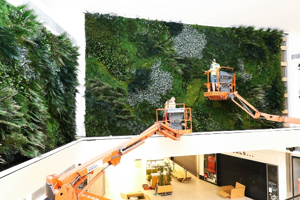 Greenarea Photo 4