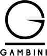 GAMBINI GROUP - logo