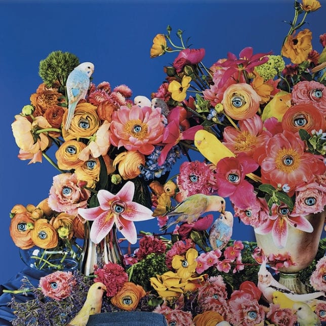 Papier peint contemporain BIRD WATCHING LondonArt Wallpapers en