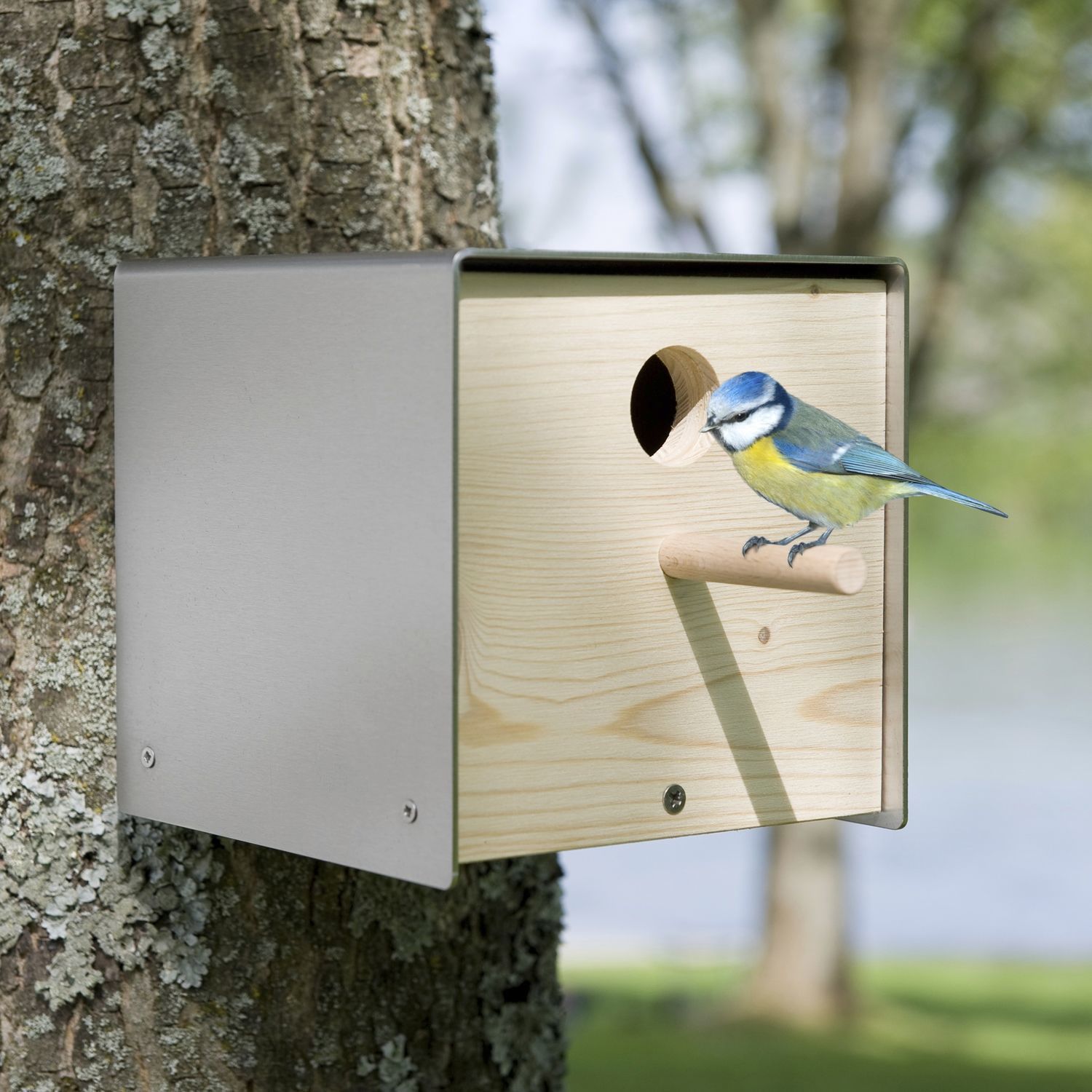 Support De Suspension Pour Nichoir à Oiseaux En Acier Galvanisé Pour Mangeoires Et Nichoirs, 2