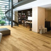 Carrelage d'intérieur / d'extérieur / de...