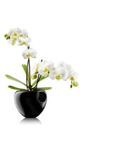 Pot de jardin en plastique