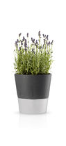 Pot de jardin en verre