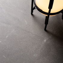 Carrelage d'intérieur / de salon / mural...
