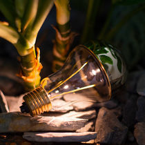 Lampe baladeuse / en laiton / en verre /...