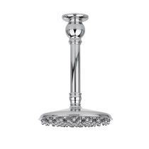 Pommeau de douche de plafond / rond / pluie...