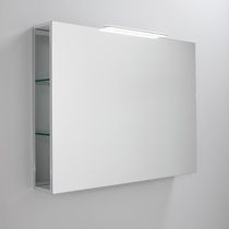 Meuble de salle de bain avec miroir / mural