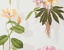 Papier peint classique / à motif floral