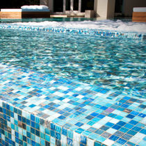 Mosaïque d'intérieur / murale / en verre...