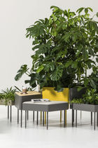 Pot de jardin en acier