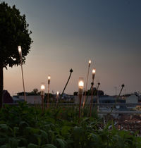 Lampadaire de jardin / contemporain / en...