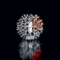 Lampe de table / en acier / en polycarbonate...