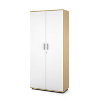 Armoire de stockage de sécurité / professionnel