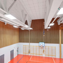 Faux-plafond en laine de roche / en dalles...