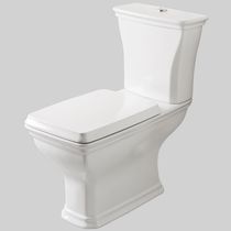 WC monobloc / en céramique / professionnel
