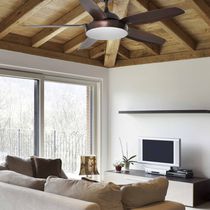 Ventilateur au plafond / professionnel /...
