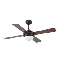 Ventilateur au plafond / professionnel /...