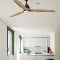 Ventilateur au plafond / professionnel /...