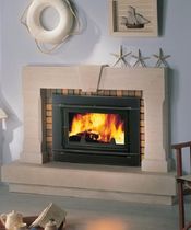 Insert de cheminée à bois