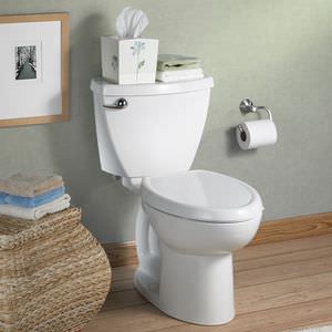 lunette de toilettes