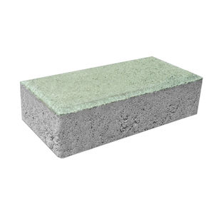pavé en béton 1