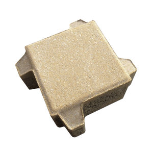 pavé en béton 1