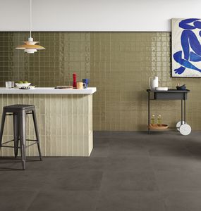 carrelage d'intérieur / mural / en céramique émaillée / 20x40 cm