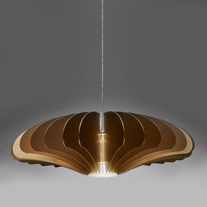 suspension 1