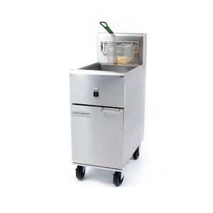 friteuse électrique 1