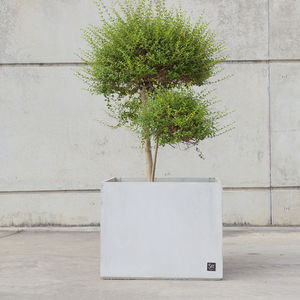 jardinière en béton / carrée / contemporaine / pour espace public