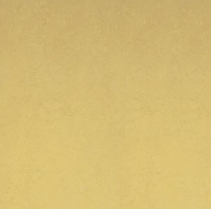 revêtement de sol en linoléum