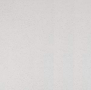 revêtement mural pour intérieur 1