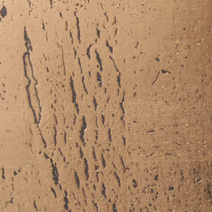 revêtement mural pour intérieur 1