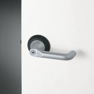 poignée de porte