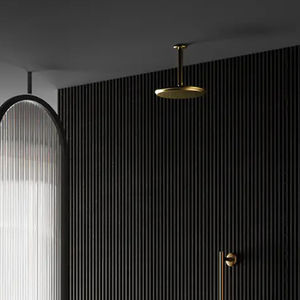 bras pour pommeau de douche de plafond 1