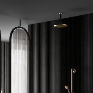 bras pour pommeau de douche de plafond 1