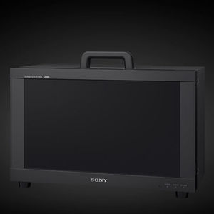 moniteur fixe